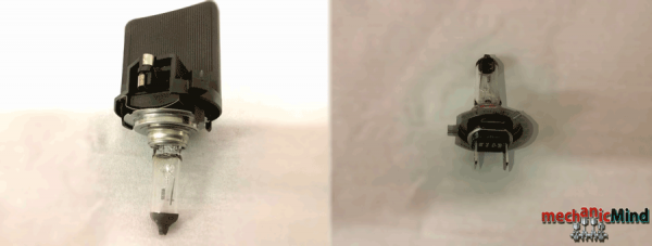 Figura 4: lampadina e supporto in plastica