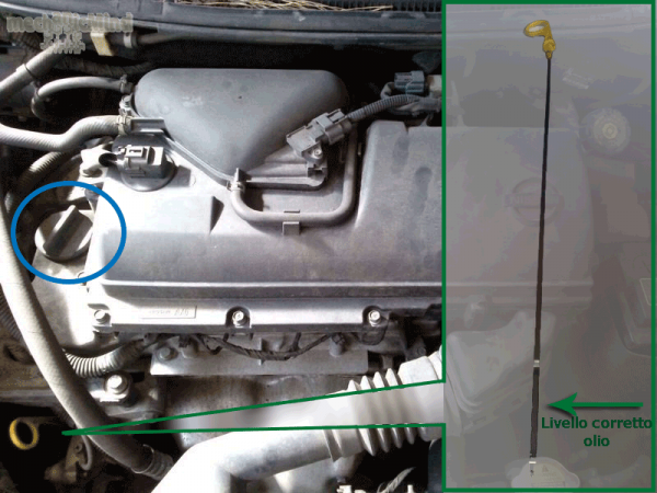 Figura 5: E' cerchiato in blue il tappo da togliere per rabboccare l'olio mentre in verde è riportata la stecca per il controllo del livello
