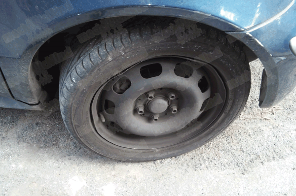 Figura 1: Cerchio Deformato