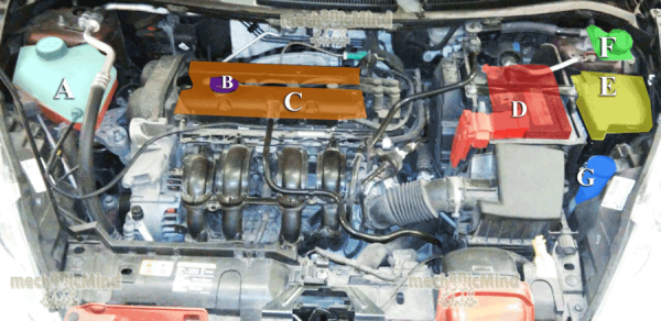 Figura 1: Infografica vano motore Ford Fiesta serie 6 del 2008