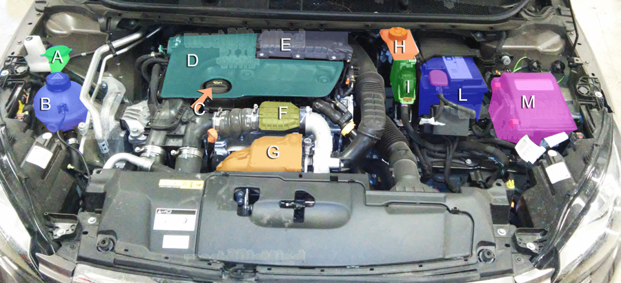 Figura 2: Infografica Vano motore Peugeot 308