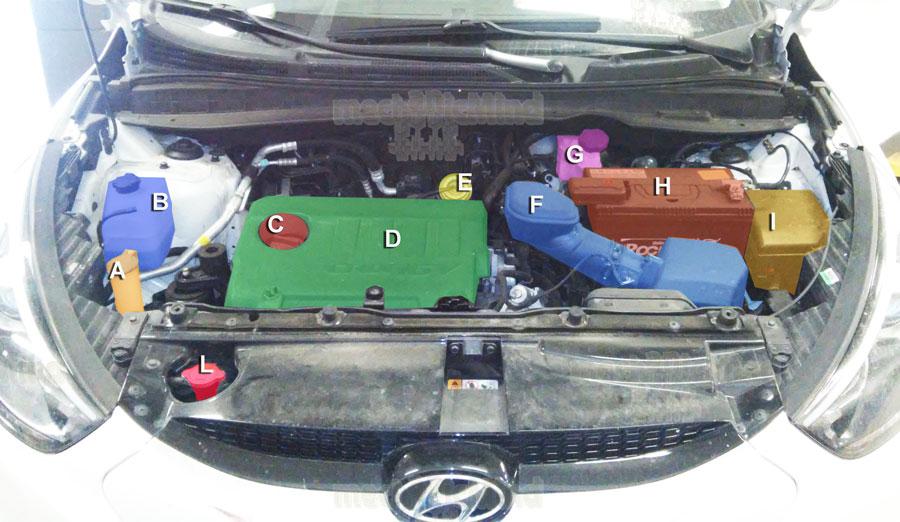Figura 2: Infografica Vano motore